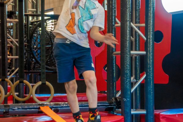 Ninja Warrior Rope Walk